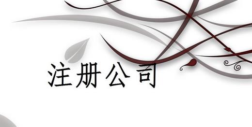 注册有限公司要求