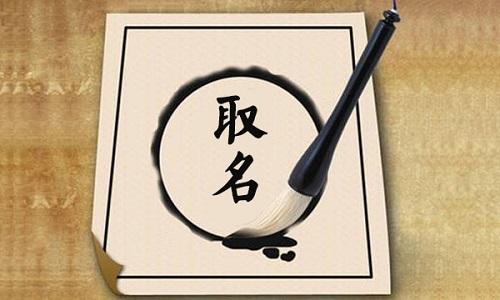 公司取名