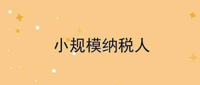 小规模纳税人如何报税？