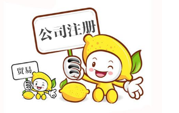 广州申请分公司要走哪些流程