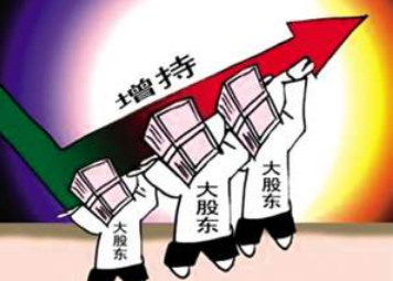 长春创业注册公司对股东有哪些关键要求？