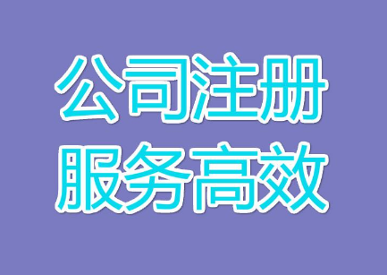 公司注册资本