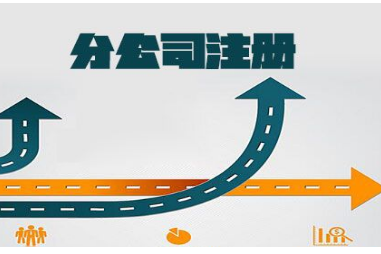 注册分公司流程