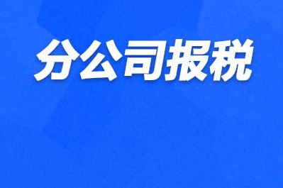 分公司记账报税