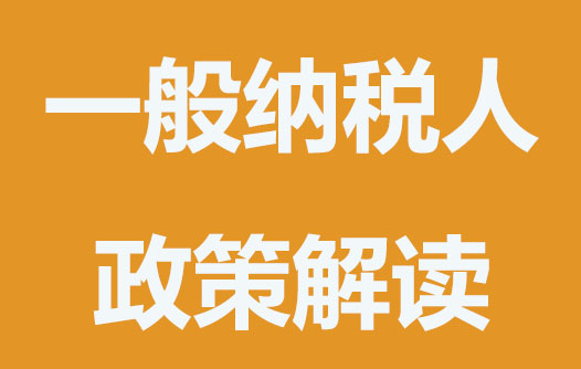 一般纳税人有哪些优势