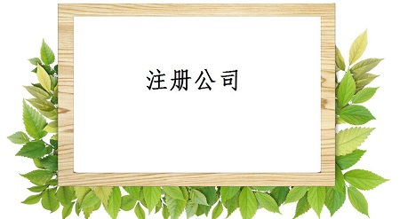 注册公司怎样填写纳税人信息，对注册公司更有利