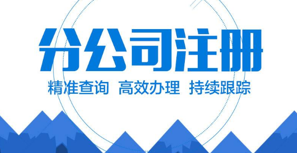 异地办理分公司流程及注意事项