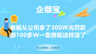老板从公司拿了300W光罚款都100多W一套房就这样没了
