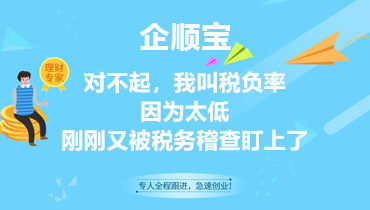 对不起，我叫税负率，因为太低，刚刚又被税务稽查盯上了