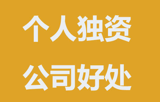 为什么要注册个人独资公司？