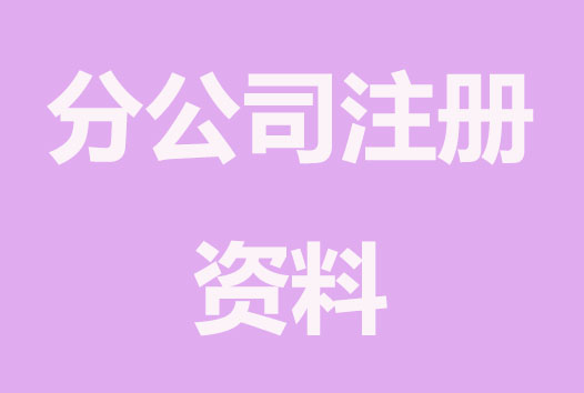 设立分支机构需要提交哪些资料