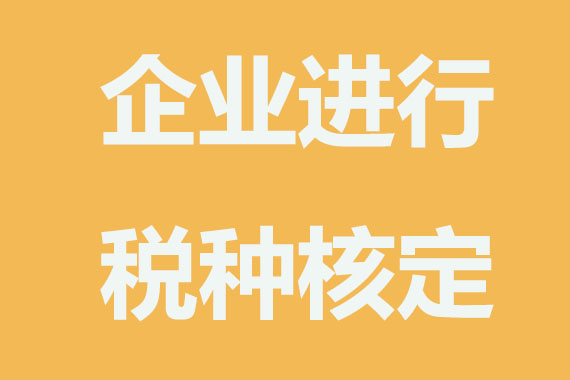 如何进行税务登记?企业不进行税种核定后果?