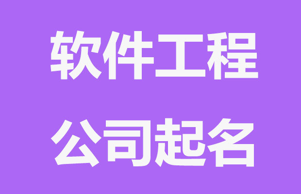 前景远大的软件工程公司名字大全