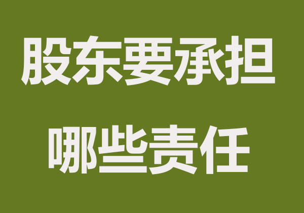 南京注册公司股东要承担哪些法律责任