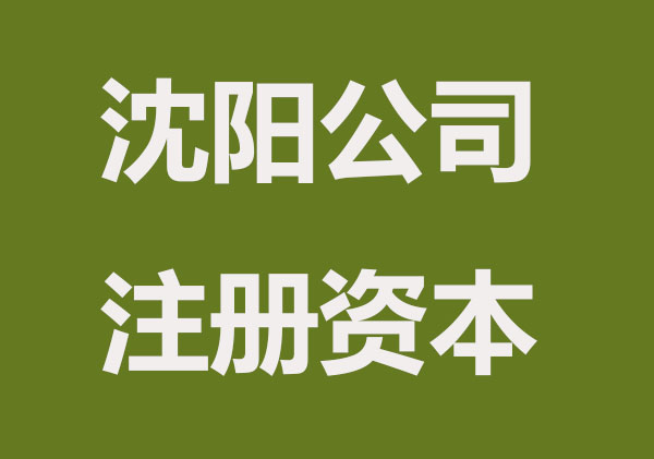 沈阳公司注册资本的真实意义