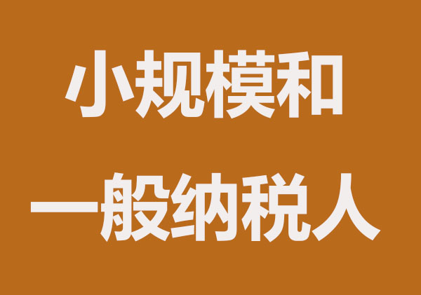 小规模纳税人和一般纳税人哪个好？