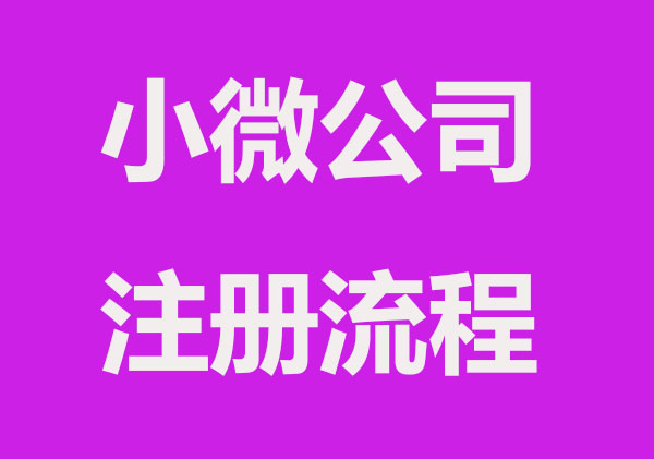 如何注册小微公司