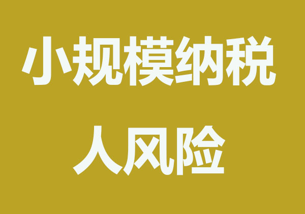 小规模纳税人有什么涉税风险？要注意什么?