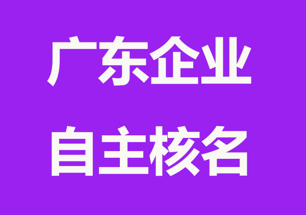 广东省企业名称自主申报服务系统