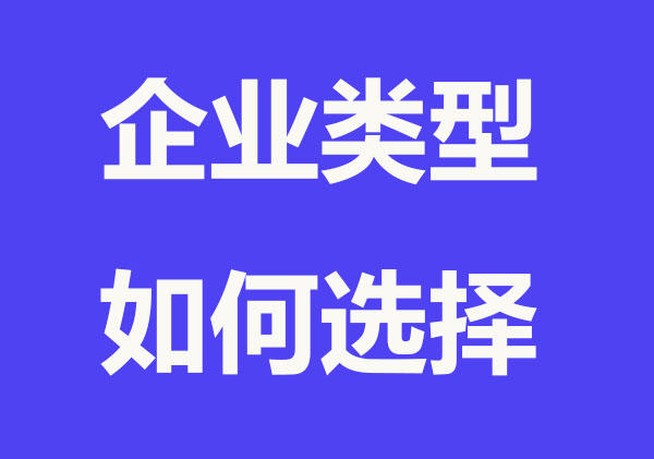 企业类型如何选择