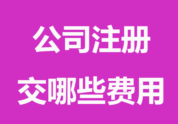 公司注册每年需要交哪些费用