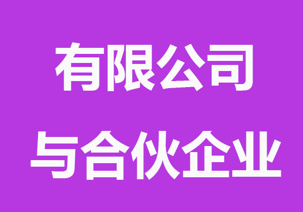 注册有限公司与合伙企业有什么不同