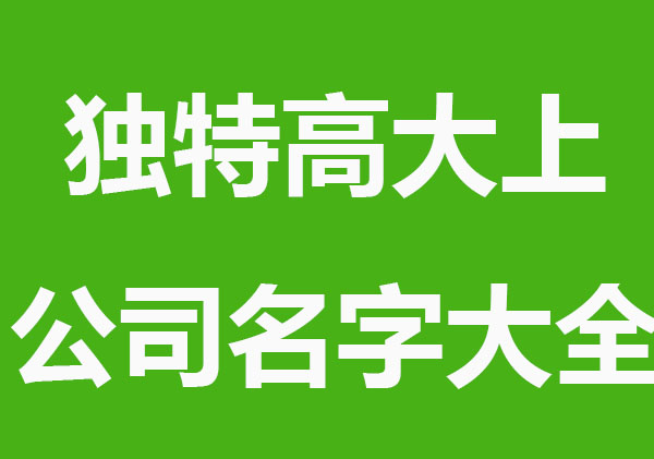 独特高大上公司名字大全
