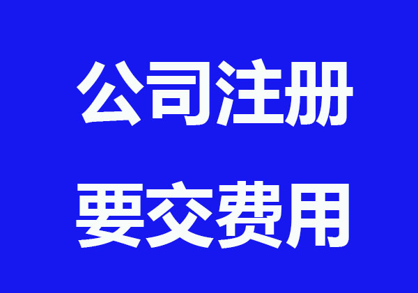 公司注册后每年要交哪些费用