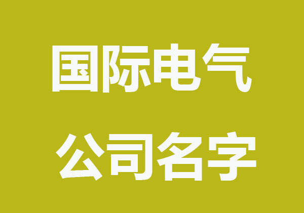 国际范的电气公司名字大全
