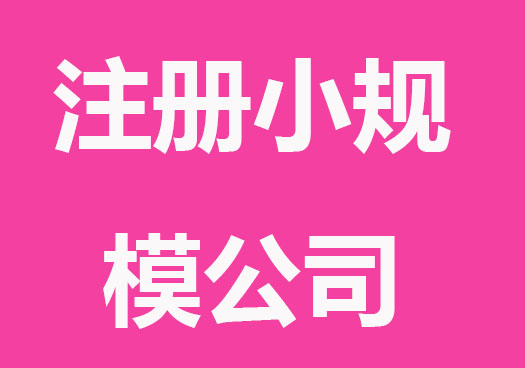 注册小规模公司要什么条件