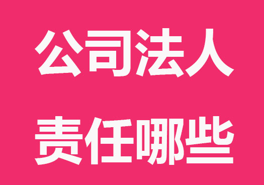 有限责任公司法人职责是什么