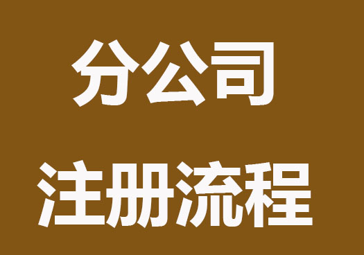 分公司的注册流程是什么？