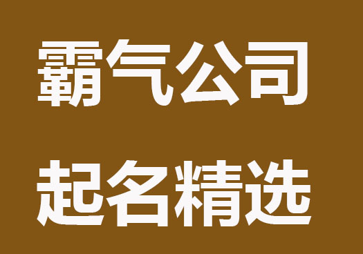 霸气的公司起名精选分析