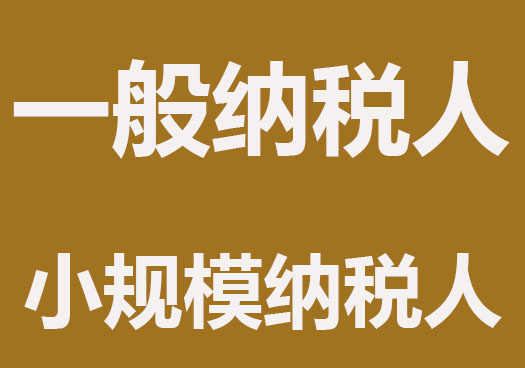 一般纳税人和小规模纳税人代理记账的区别