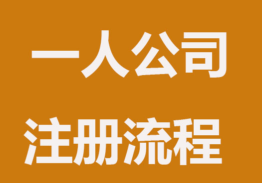 一人股东注册公司具体流程是什么？