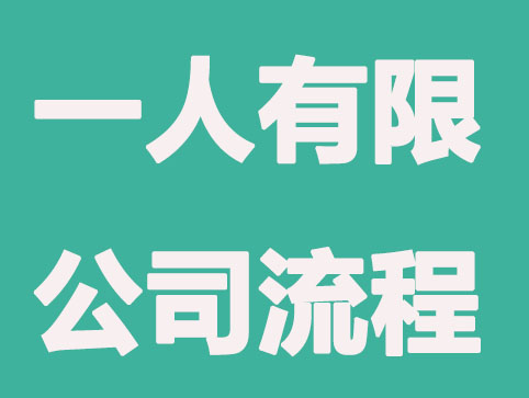 常州一人有限公司注册流程|注意事项