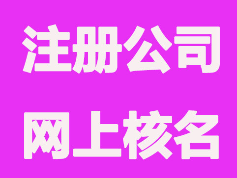 长沙注册公司网上如何核名？