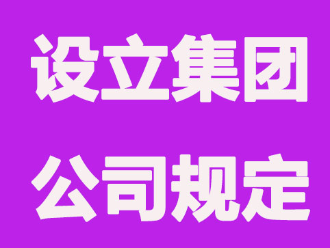 南京设立集团公司规定要求(已解决)
