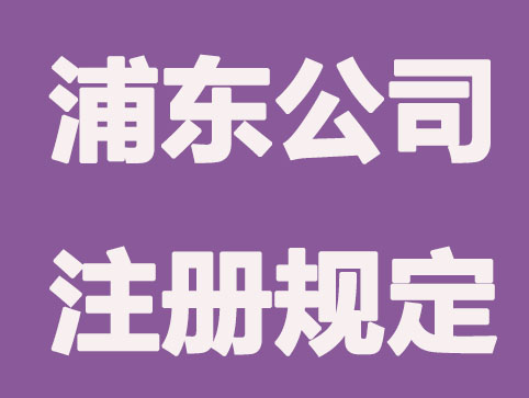 浦东公司注册规定是什么?