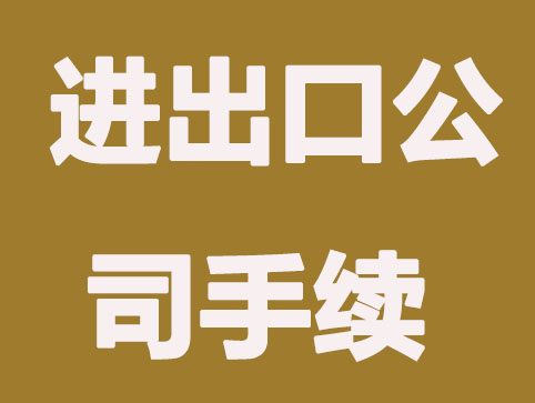 注册进出口公司要办哪些手续？