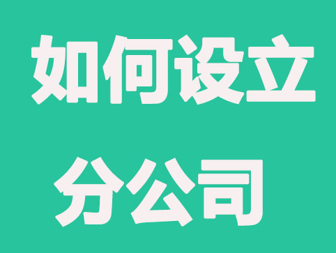 公司如何设立分公司，超详细的流程介绍
