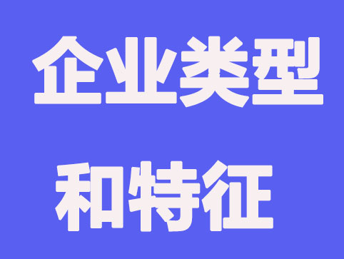 企业总共有哪些类型？各有什么特征
