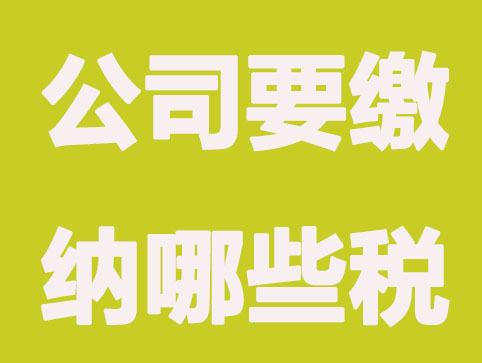 最全！公司成立之后需要缴纳哪些税？
