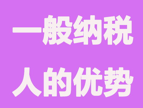 南昌申办一般纳税人的优势