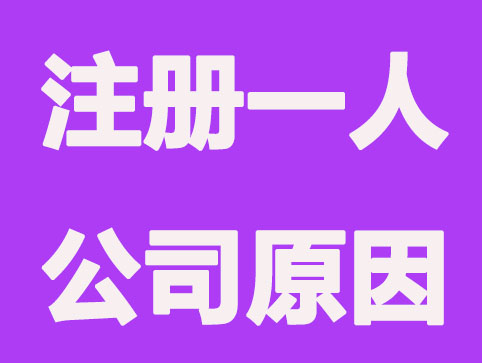 为什么注册一人有限公司？