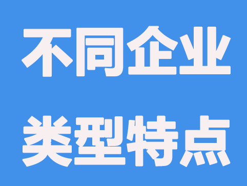 不同组织形式企业的特点