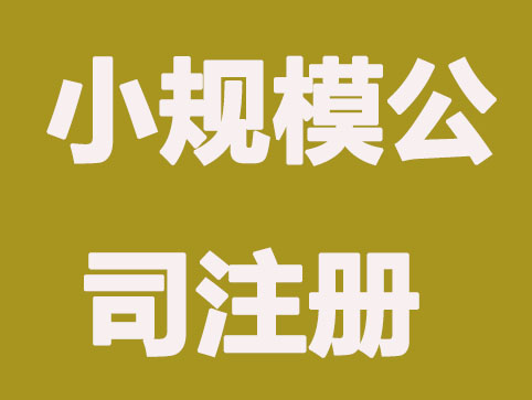 小规模纳税人公司注册要求