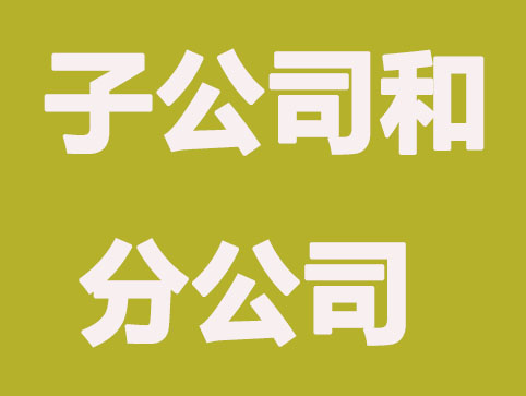子公司和分公司区别?如何快速分辨