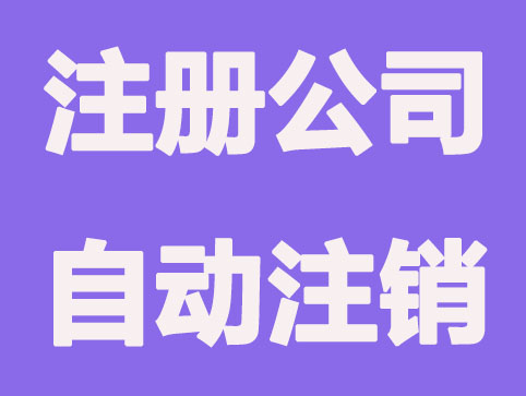 注册公司不经营会自动注销吗？有影响吗？