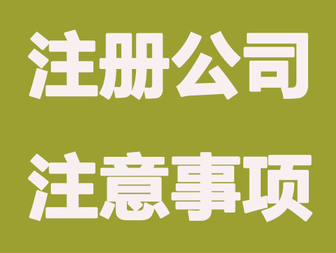 通过一网通注册公司要注意的事项